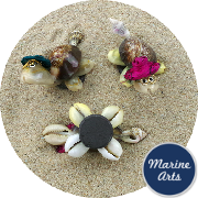 8138M - Mini Cowry Turtle Magnets